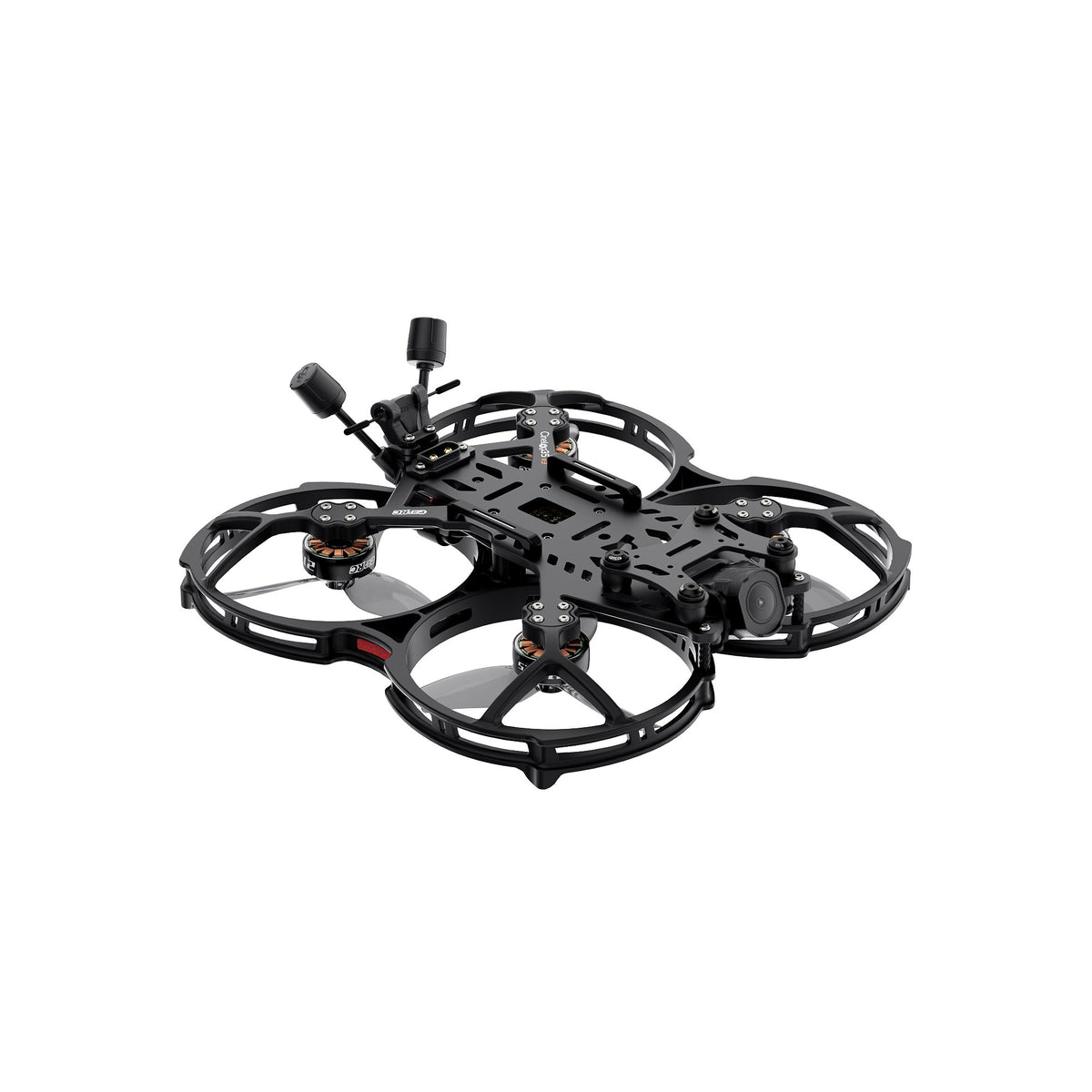 5_DeMain_0000_3.jpg
