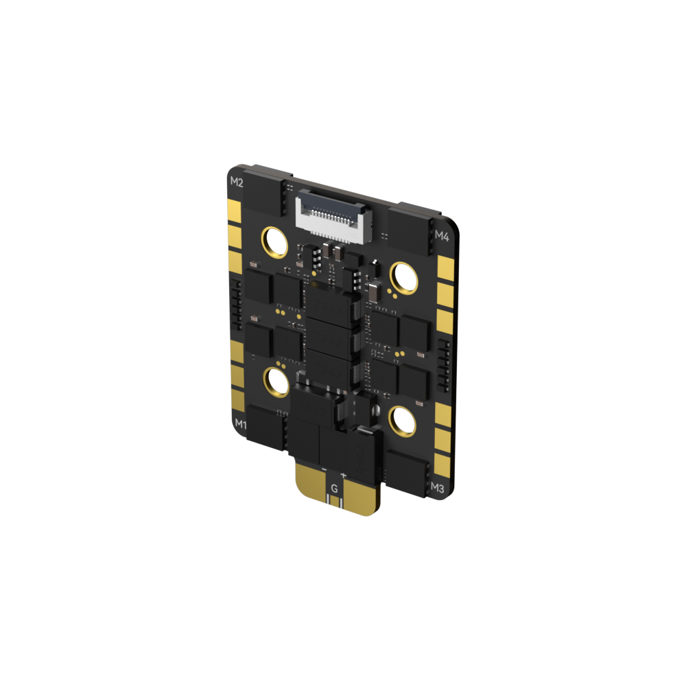 Borg_60RS_ESC_N5.jpg