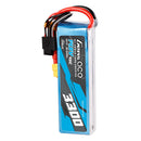 _1___38984.jpg