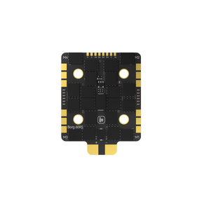Borg_60RS_ESC_N1.jpg