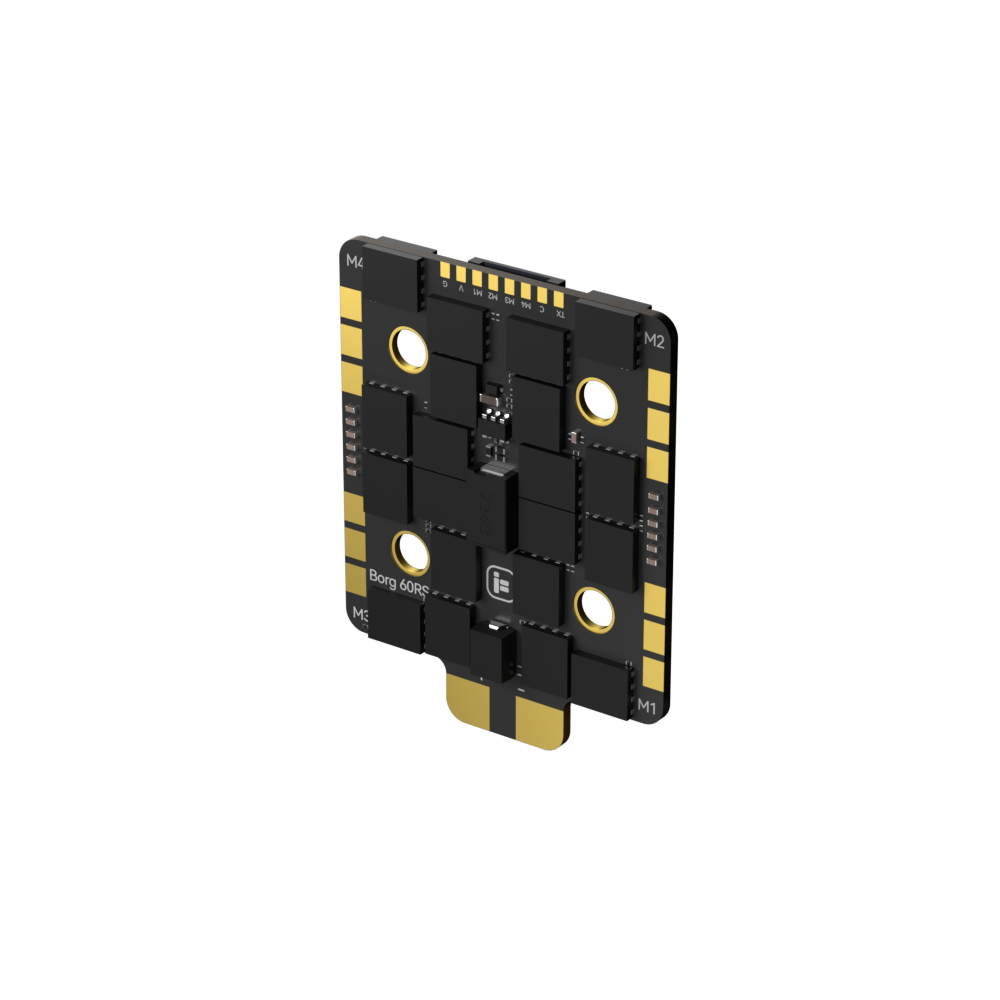 Borg_60RS_ESC_N3.jpg