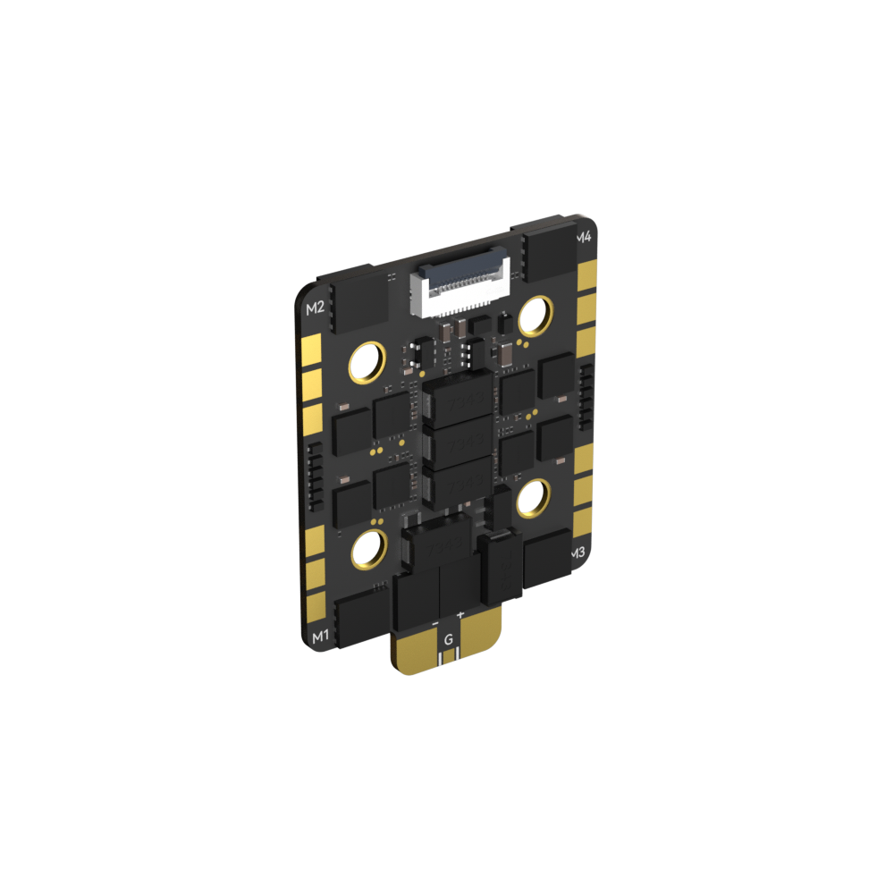 Borg_60RS_ESC_N6.jpg