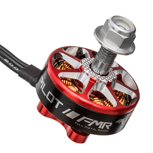 FMR F25 NAKED 2205 2500KV V2 - (1pcs)